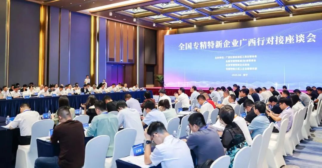 全國專精特新廣西行座談會